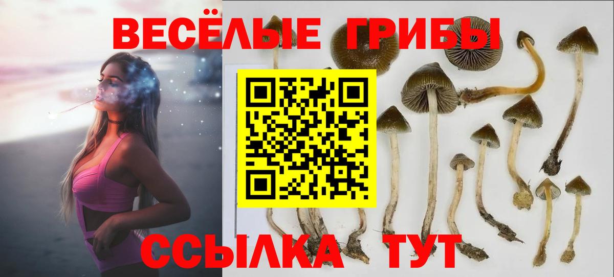 Фурманов  Псилоцибиновые грибы Magic Shrooms  Вход с VPN  Псилоцибиновые грибы Cubensis 